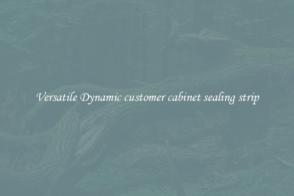 Versatile Dynamic customer cabinet sealing strip