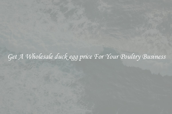 Get A Wholesale duck egg price For Your Poultry Business