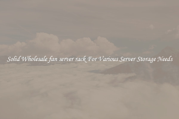 Solid Wholesale fan server rack For Various Server Storage Needs