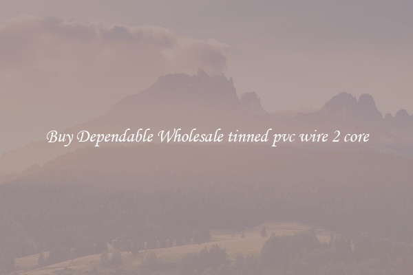 Buy Dependable Wholesale tinned pvc wire 2 core