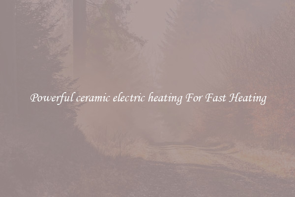 Powerful ceramic electric heating For Fast Heating