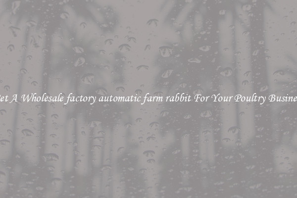 Get A Wholesale factory automatic farm rabbit For Your Poultry Business
