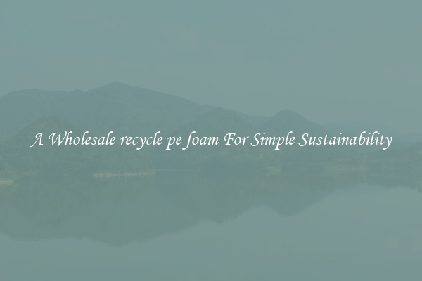  A Wholesale recycle pe foam For Simple Sustainability 