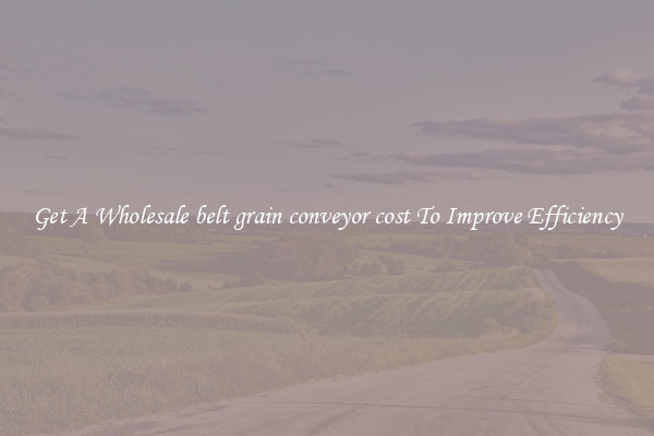 Get A Wholesale belt grain conveyor cost To Improve Efficiency