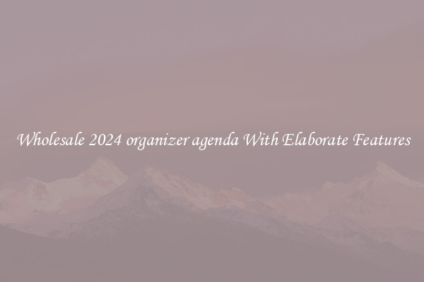 Wholesale 2024 organizer agenda With Elaborate Features