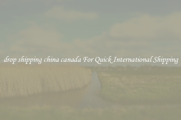 drop shipping china canada For Quick International Shipping