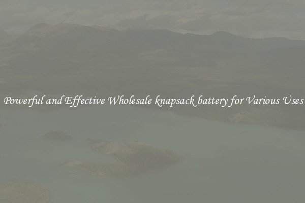 Powerful and Effective Wholesale knapsack battery for Various Uses