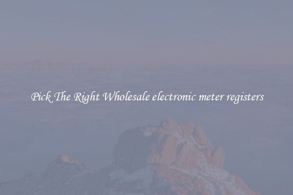 Pick The Right Wholesale electronic meter registers