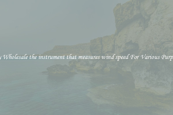 Buy Wholesale the instrument that measures wind speed For Various Purposes
